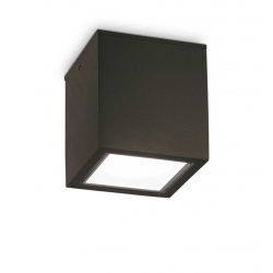 TECHO BIG IP54 PLAFON ZEWNĘTRZNY    251530 Ideal-Lux